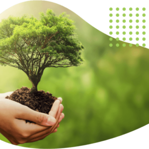 Consultoria Ambiental