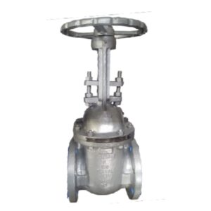 VALV GAVETA 6 150 WCB APARAFUSADA