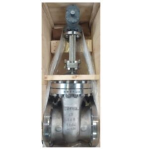 VALV GAVETA 12 300 CG8M APARAFUSADA