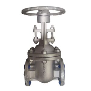 VALV GAVETA 3 150 CF8M APARAFUSADA