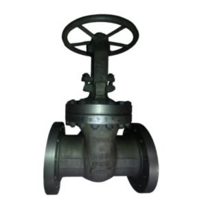 VALV GAVETA 6 300 WCB APARAFUSADA