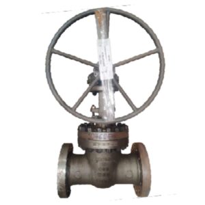 VALV GAVETA 6 600 WCB APARAFUSADA
