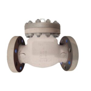 VALV RETEN 4 300 WCB APARAFUSADA